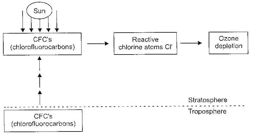 Write a short note on Depletion of Ozone Hole.