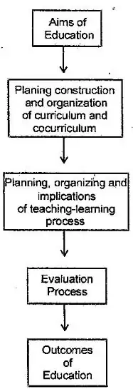 Discuss the Relationship between Aims, Objectives and Other Educational Processes.