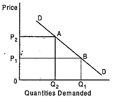 What causes a movement along the demand curve and what causes shifts in the demand curve? Explain.