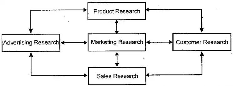 Explain the Scope of International Marketing Research.