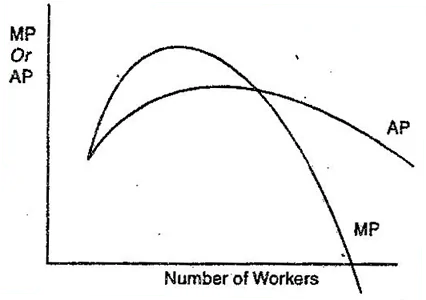 Explain why MP curve is greater than or less than AP curve when AP curve is rising or falling.
