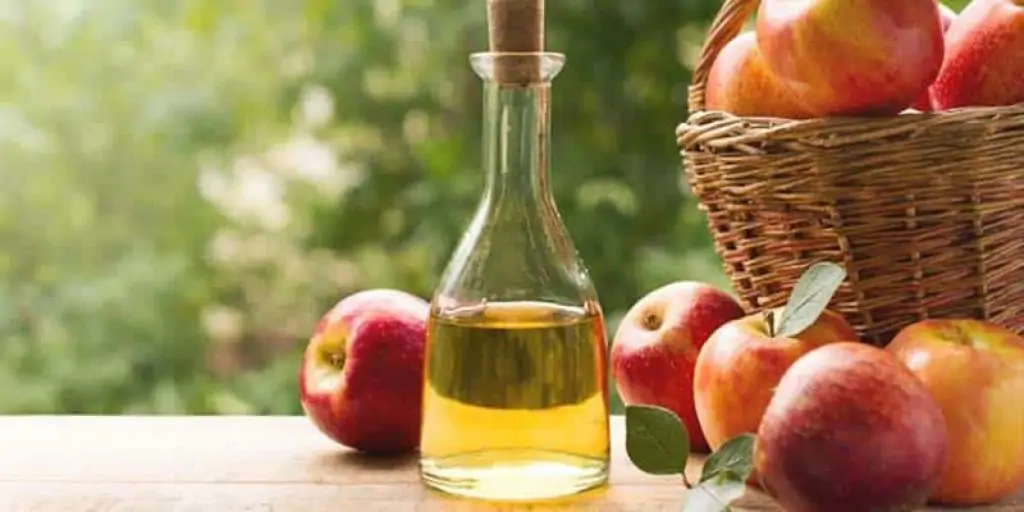 Health Benefits of Apple Cider Vinegar: Uses & Precautions