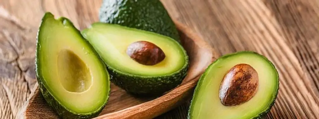 Avocado - The High Protein Fruits 