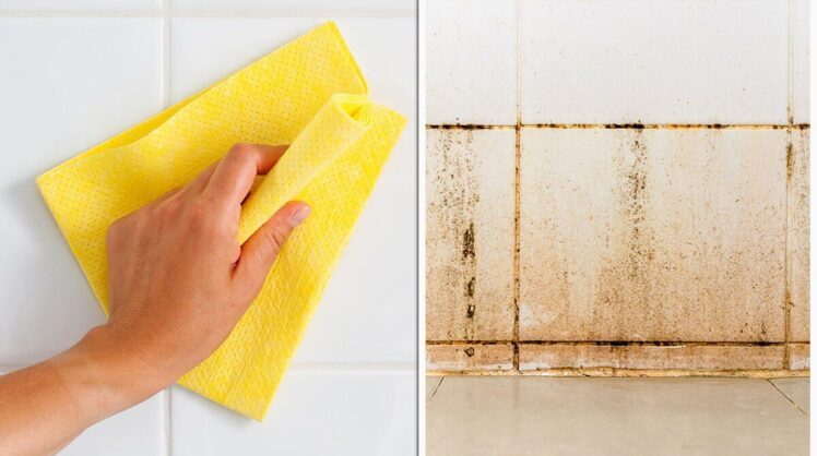 cleaning Tiles and Grout in the bathroom