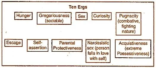 What is Cattell's Trait Theory of Personality?