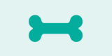 Cloud Fundamentals: Accelerating Development with Continuous Integration