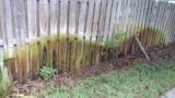 Does Your Fence Have Water Damage? 6 Steps to Fix This