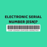 What is an Electronic Serial Number (ESN)?