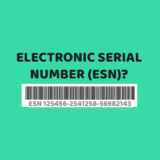 What is an Electronic Serial Number (ESN)?