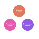 List of Key Factors that determinants the Personality.