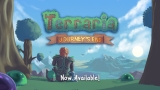Terraria 1.4 Console – Everything You Should Know