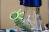 Tips for Choosing Your Next Themed Bong