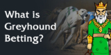 Best Sites for Greyhound Betting